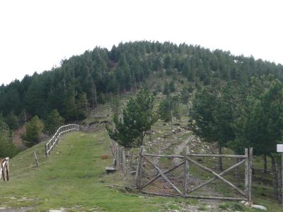 monte sidone